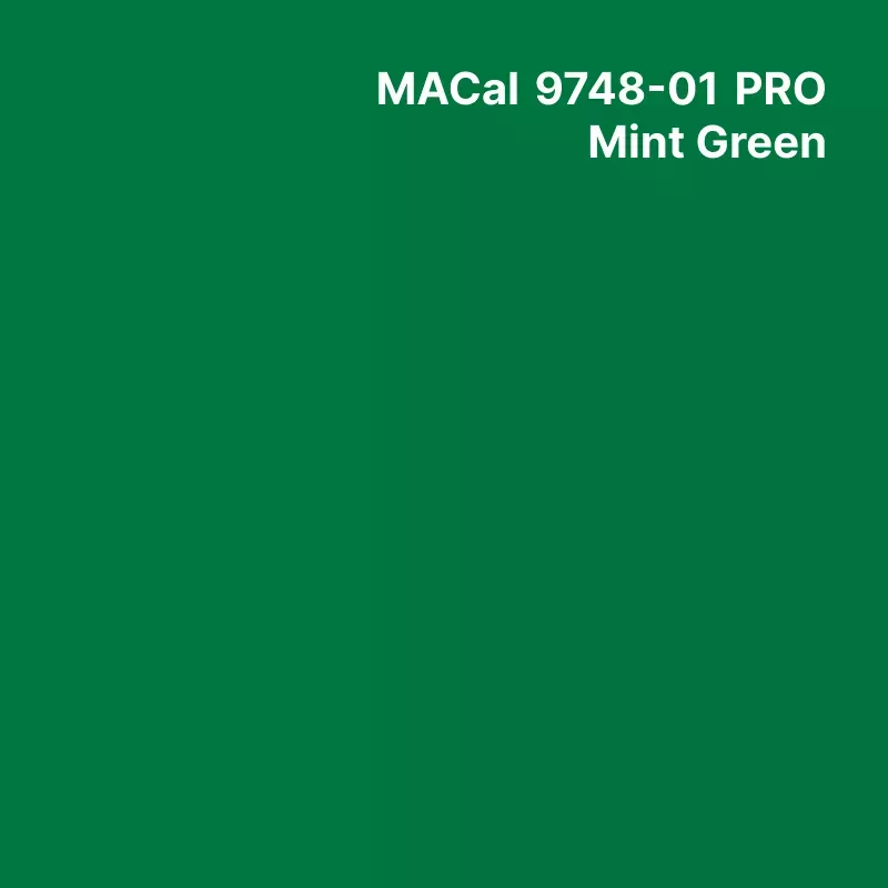 MC9700 couleurs Polymère mint green Mat permanent 7 ans