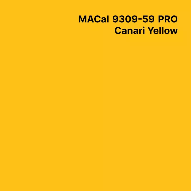 MC9300 Couleurs Polymère...